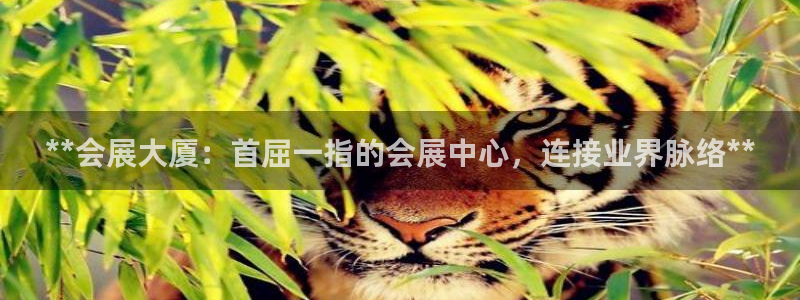 果博有假吗：**会展大厦：首屈一指的会展中心，连接业界脉络**