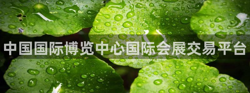 果博总台电话：中国国际博览中心国际会展交