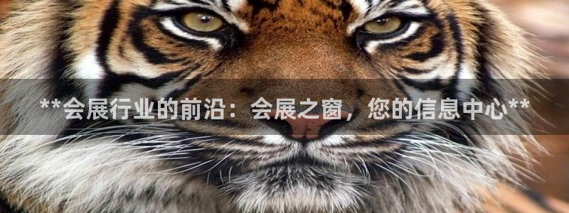 果博怎么注册账号：**会展行业的前沿：会展之窗，您的信息中心**