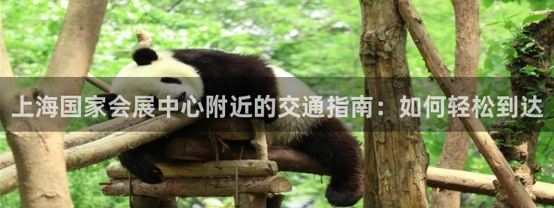 果博平台真实吗安全吗可信吗：上海国家会展中心附近的交通指南：如何轻松到达