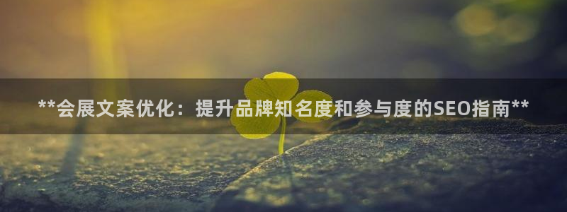 果博注册平台怎么注册的：**会展文案优化