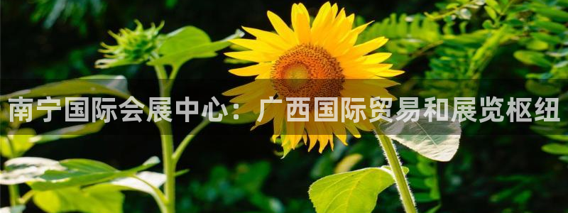 果博注册账号链接：南宁国际会展中心：广西