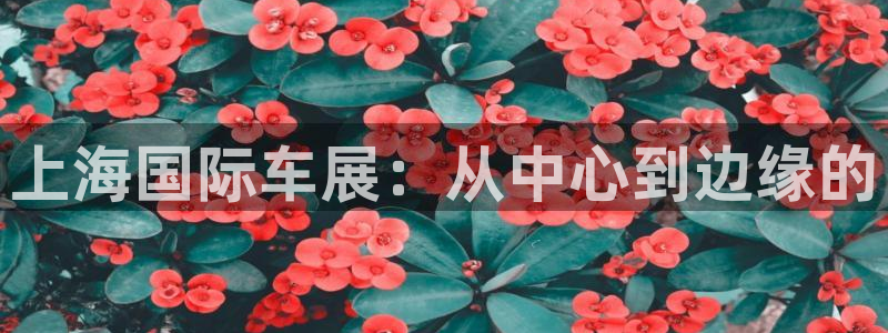 果博公司客服电话多少：上海国际车展：从中