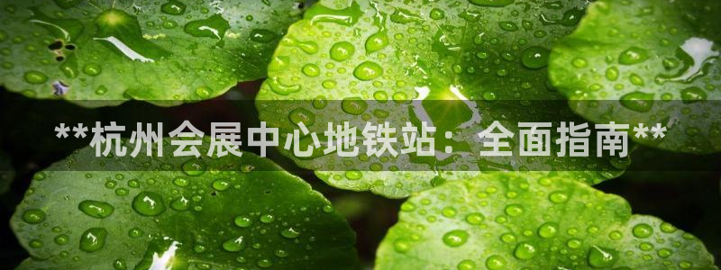 果博旗舰厅：**杭州会展中心地铁站：全面