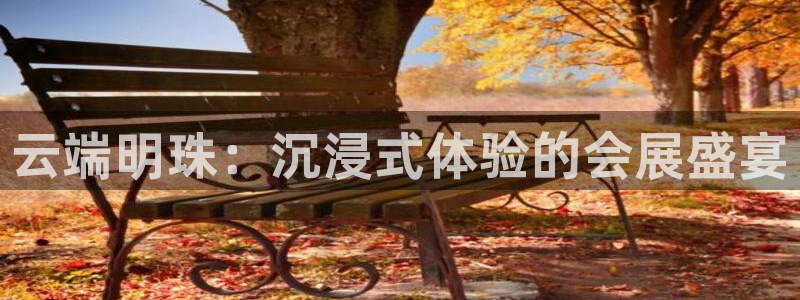 果博公司怎么开户：云端明珠：沉浸式体验的
