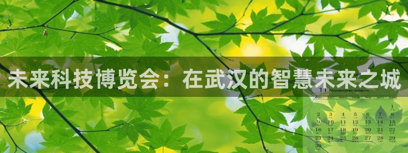果博怎么注册账号和密码：未来科技博览会：