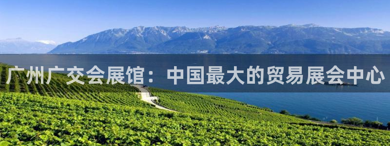 苹果电脑怎么下载博弈大师等软件：广州广交
