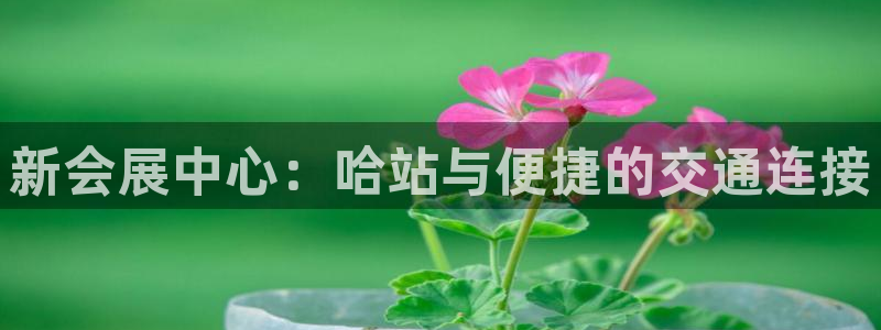果博注册客服电话：新会展中心：哈站与便捷的交通连接