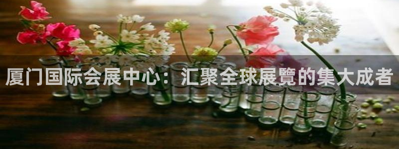果博平台链接：厦门国际会展中心：汇聚全球展覽的集大