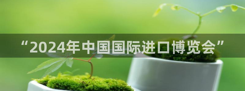果博真人：“2024年中国国际进口博览会”