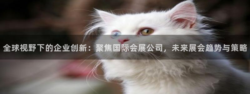 果博公司客服微信公众号