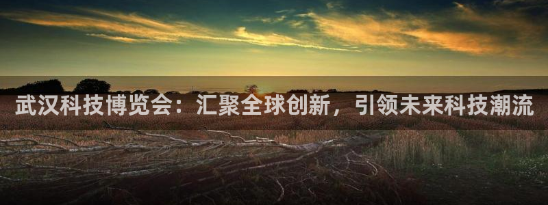 果博注册充值多少钱：武汉科技博览会：汇聚全球创新，
