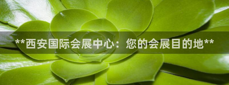 果博平台链接