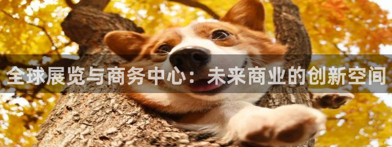 果博注册会员多少钱：全球展览与商务中心：