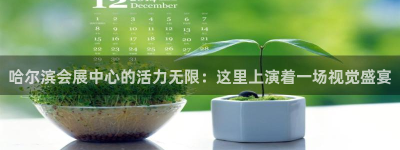 果博公司注册：哈尔滨会展中心的活力无限：这里上演着一场视觉盛宴