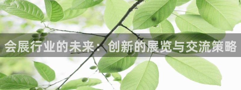 果博管理网：会展行业的未来：创新的展览与交流策略