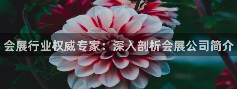 手机怎样下载果博：会展行业权威专家：深入剖析会展公司简介