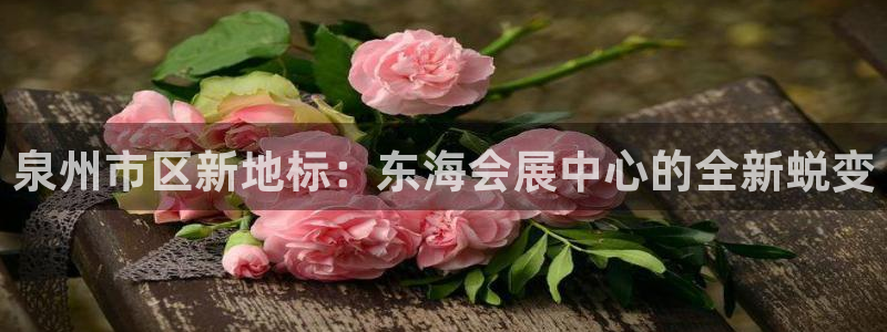果博集团：泉州市区新地标：东海会展中心的全新蜕变