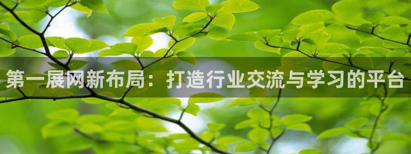 果博代理电话多少：第一展网新布局：打造行
