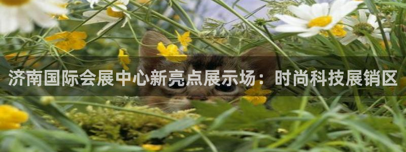 果博平台真实吗安全吗可信吗：济南国际会展中心新亮点展示场：时尚科技展销区