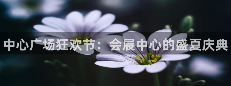果博客服电话哪里找啊：中心广场狂欢节：会