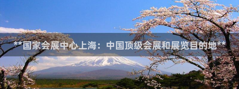 果博官网首页：**国家会展中心上海：中国