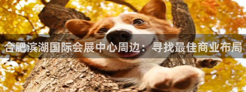 苹果手机能下载果博吗：合肥滨湖国际会展中心周边：寻