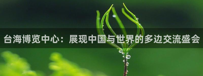果博平台真实吗安全吗可信吗可靠吗：台海博