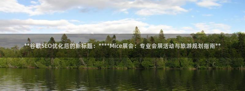 果博平台真实吗安全吗可靠吗：**谷歌SE