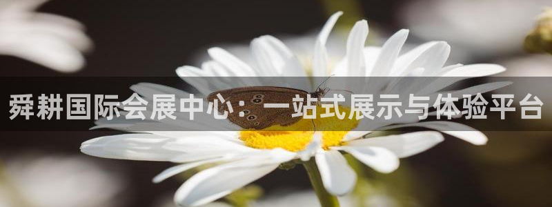 苹果手机能下载果博吗