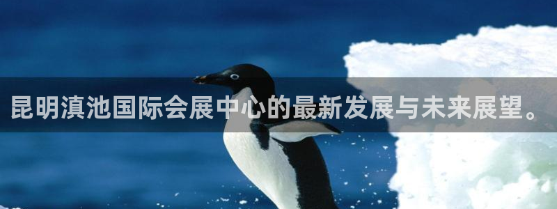 果博管理网：昆明滇池国际会展中心的最新发展与未来展望。