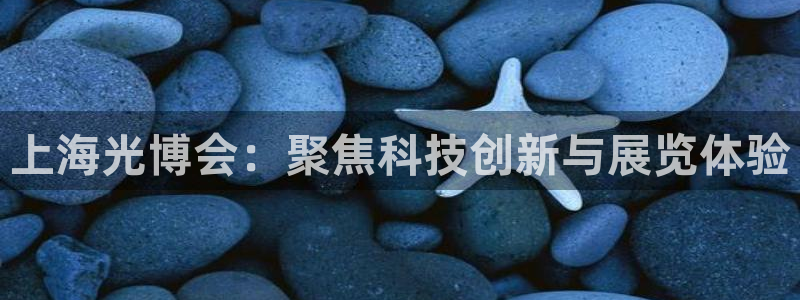 果博网站二维码：上海光博会：聚焦科技创新与展览体验