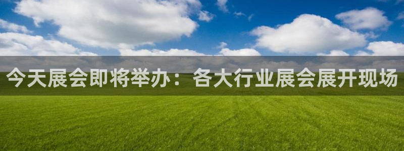 果博平台链接：今天展会即将举办：各大行业展会展开现场