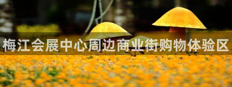 果博注册平台怎么注册不了：梅江会展中心周边商业街购物体验区
