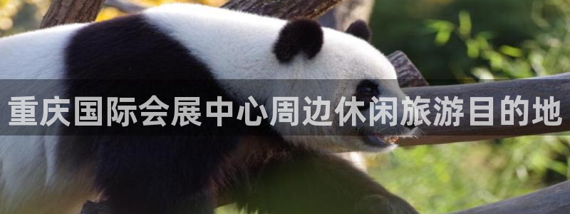 果博公司客服微信号是多少：重庆国际会展中心周边休闲旅游目的地