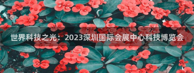 果博公司客服微信号是多少：世界科技之光：2023深圳国际会展中心科技博览会