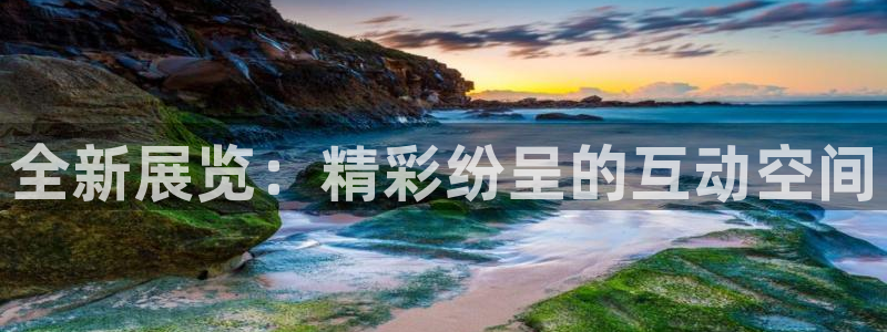 果博东手机版下载开户：全新展览：精彩纷呈的互动空间