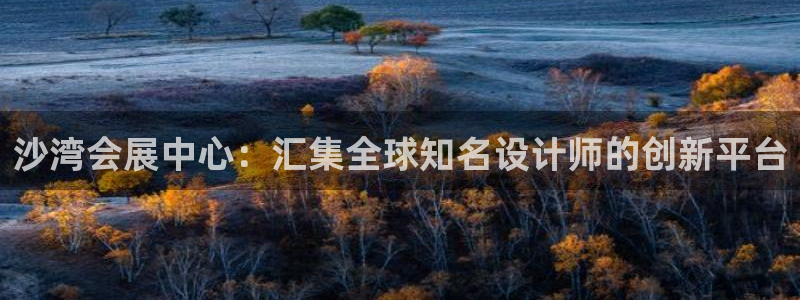 果博账号注册：沙湾会展中心：汇集全球知名设计师的创新平台