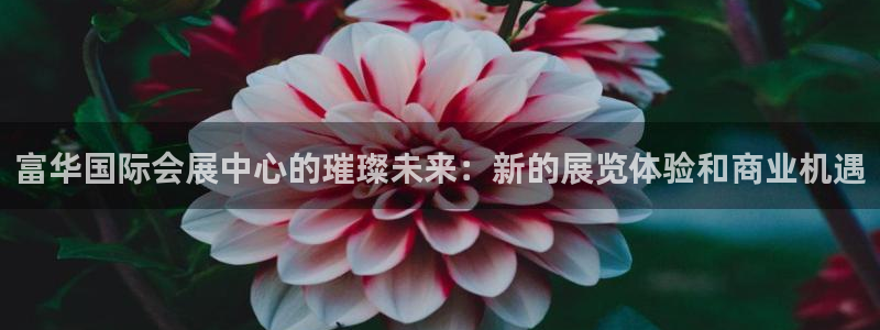 果博平台开户电话查询：富华国际会展中心的