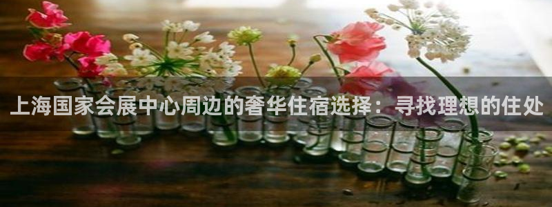 果博公司会员注册账号：上海国家会展中心周边的奢华住宿选择：寻找理想的住处