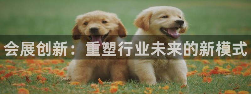 果博东官方网站怎么下载：会展创新：重塑行业未来的新模式
