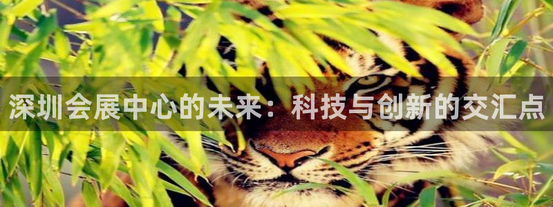 果博东官方网站怎么下载：深圳会展中心的未来：科技与创新的交汇点