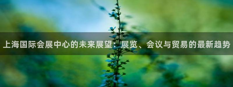 果博代理电话多少：上海国际会展中心的未来