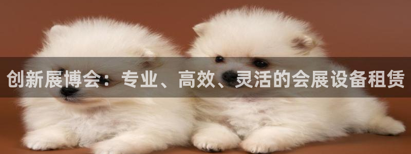 果博公司开户注册：创新展博会：专业、高效、灵活的会