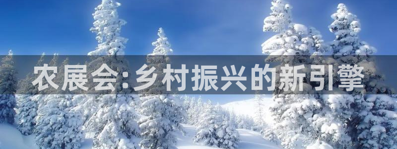 果博平台真实吗安全吗：农展会:乡村振兴的