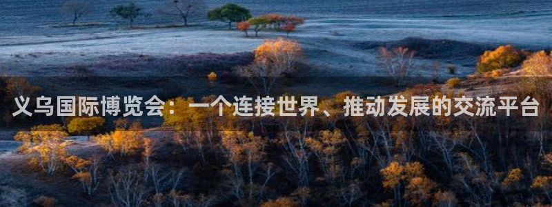 果博手机版官方下载：义乌国际博览会：一个