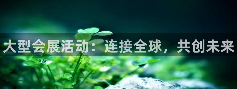 果博公司
