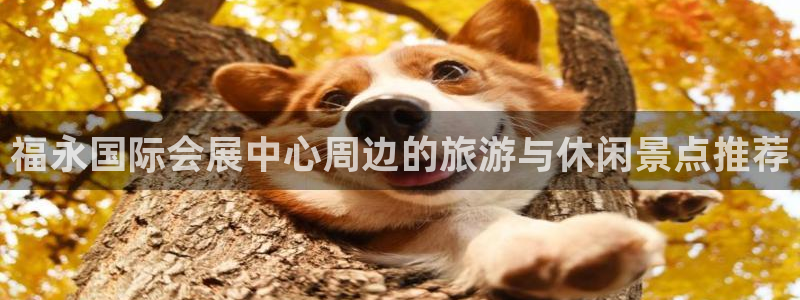 果博公司联系方式：福永国际会展中心周边的