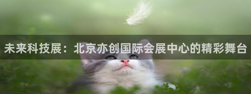 下载果博app