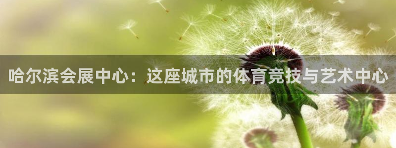 果博公司在线客服